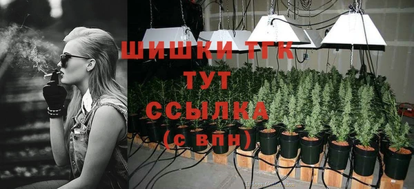 дмт Кодинск