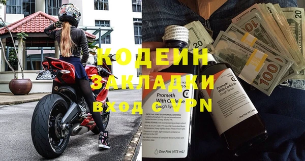 дмт Кодинск