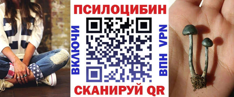 Купить закладки  Белорецк  Псилоцибиновые грибы MAGIC MUSHROOMS 